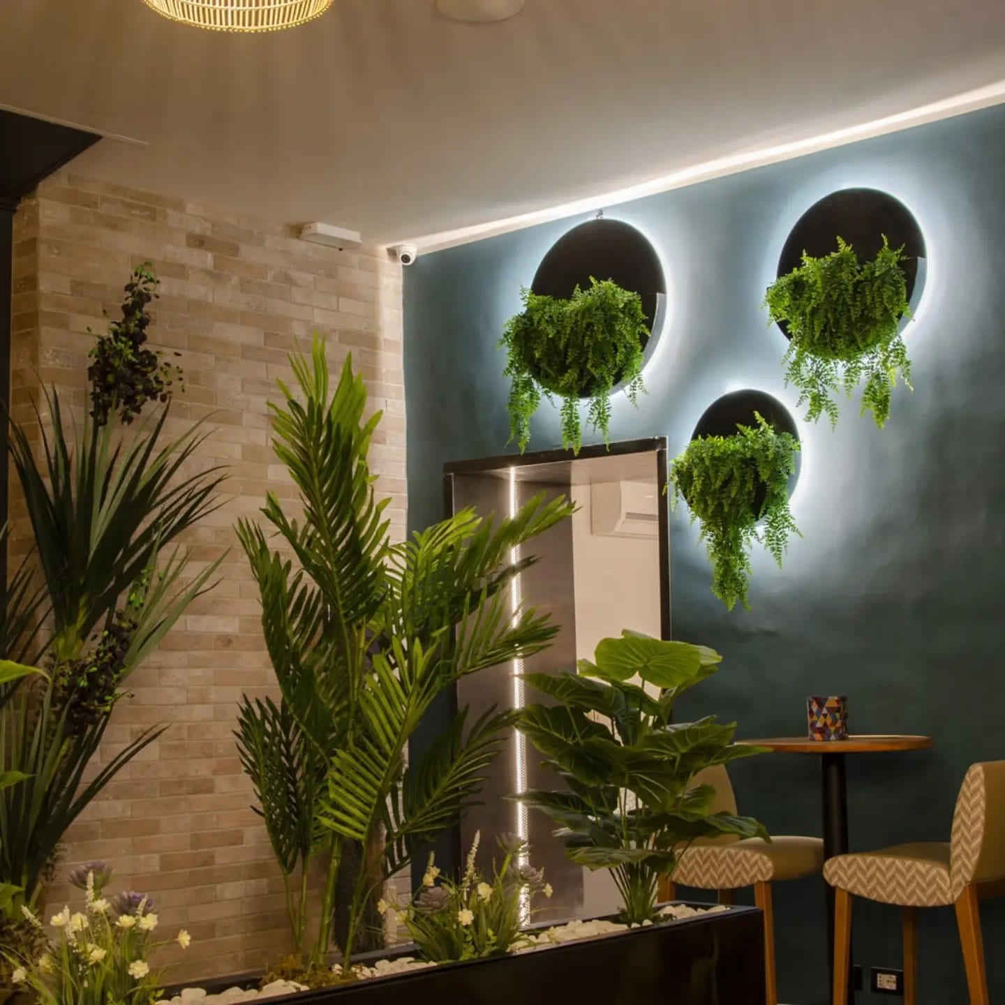 La parete verde petrolio con tre dischi retroilluminati da cui pendono felci, davanti palme e piante in vaso accanto al muro in mattoncino chiaro.